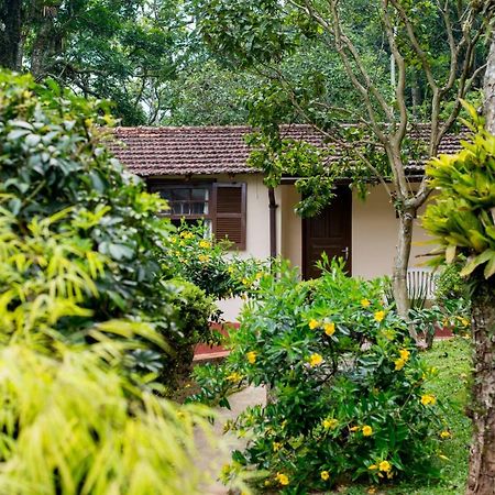 Villa Casa Do Lenhador à Petrópolis Extérieur photo